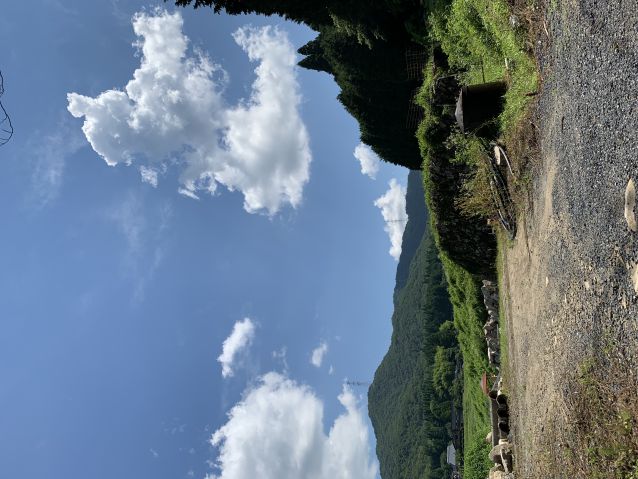 梅雨は何処への画像