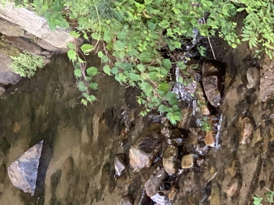 もうすぐお盆ですね。の画像